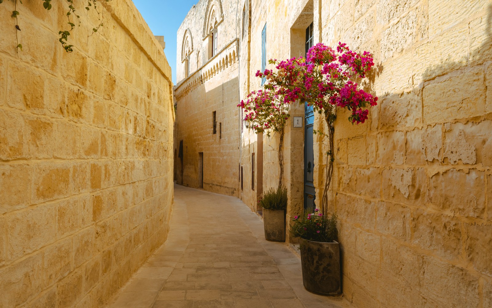 Narrow stone alley with pink bougainvillea